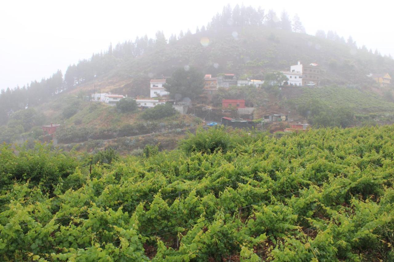 Finca El Cole Villa Las Palmas de Gran Canaria Exterior foto